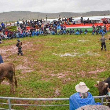 Impulsando el desarrollo ganadero: realizan con éxito el 1er Expo Toro 2025