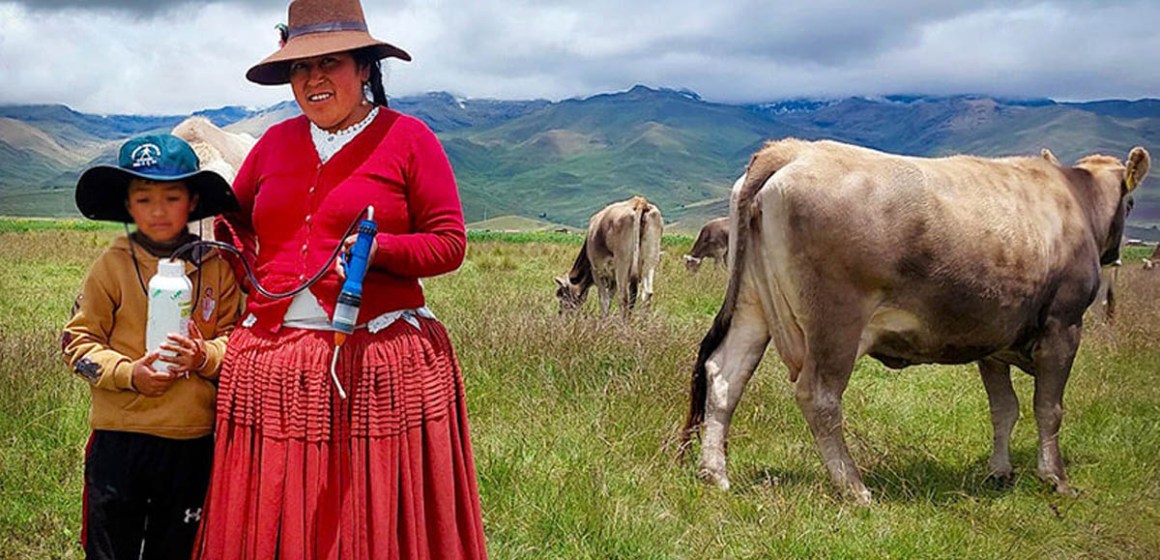 Puno: Entregan kits veterinarios a 1790 familias ganaderas de Melgar