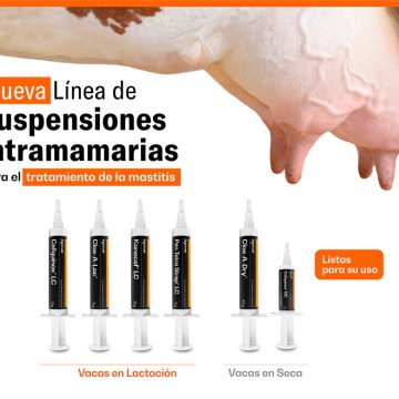 Agrovet Market lanza nueva línea de antibióticos en suspensión para el tratamiento de la mastitis