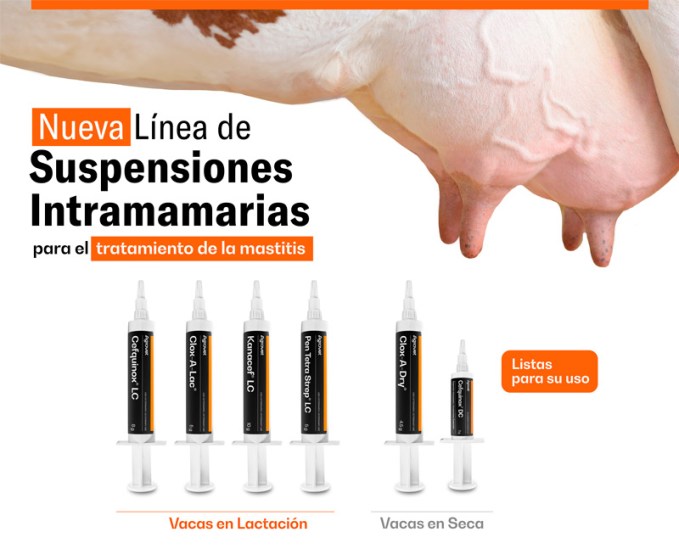 nota2 Agrovet Market lanza nueva línea de antibióticos en suspensión para el tratamiento de la mastitis