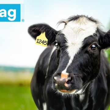 web Agrovet Market lanza AlfaTag®, la nueva generación de aretes de identificación ganadera