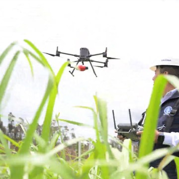 Tecnología científica impulsa ganadería sostenible en la Amazonía peruana