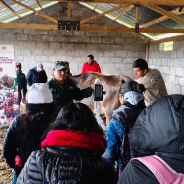 Capacitan a productores de Junín como Proveedores de Asistencia Técnica para impulsar mejoramiento genético del ganado