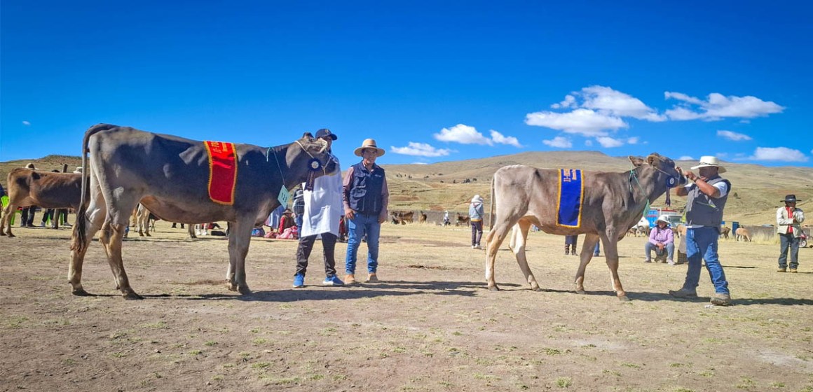 Azángaro: Exitosa participación en la II Feria de Exposición y Remate – FECOREGA 2025