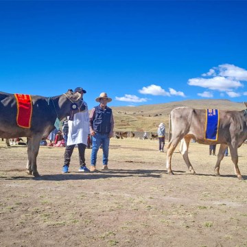 Azángaro: Exitosa participación en la II Feria de Exposición y Remate – FECOREGA 2025