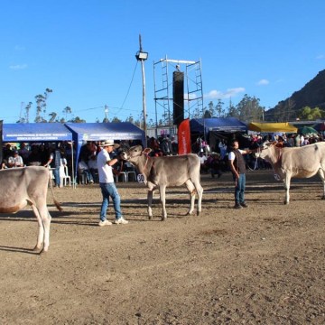 WEB Concurso de Ganado Vacuno y Ovino 2025 fue una fiesta en Bambamarca