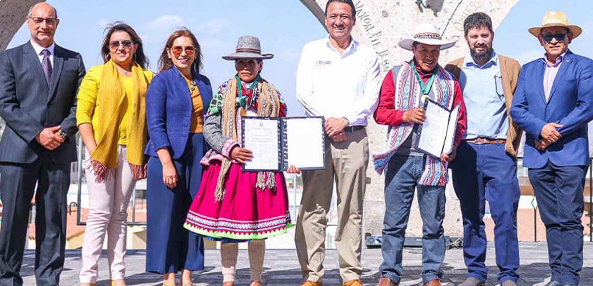 Anuncian creación del Consejo Nacional de Camélidos Sudamericanos