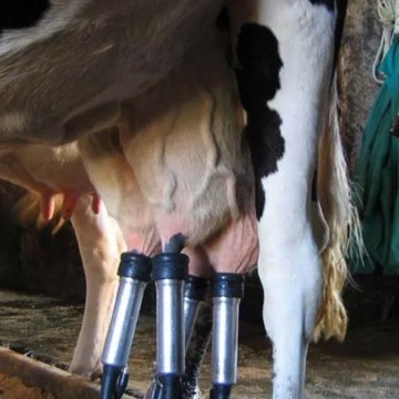 Sin título-1 Asociación de Ganaderos de Lima presente su informe «Tendencias del sector lácteo»