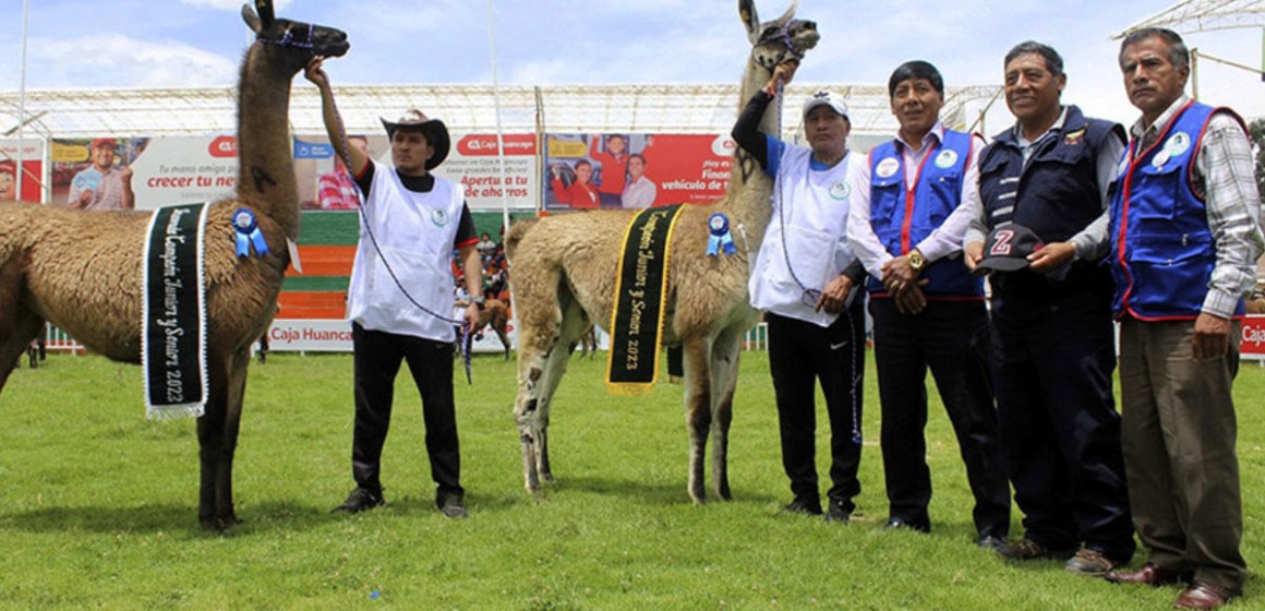 Festival de la Llama 2025 destacará crianza, cultura y gastronomía en Junín