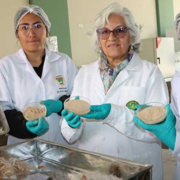 WEB Investigadores de Zootecnia convierten el pelo de cuy en harina proteica para alimentación animal