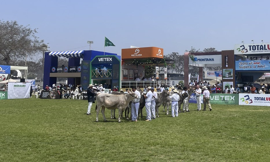 Excelencia genética y confraternidad en la XI Feria de Ganado Lechero 2025