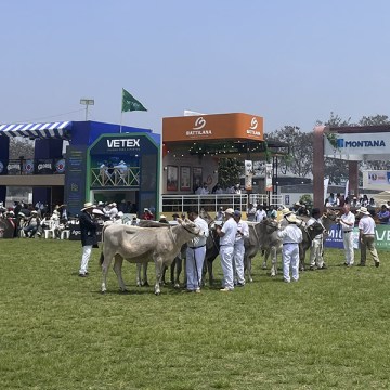 Excelencia genética y confraternidad en la XI Feria de Ganado Lechero 2025