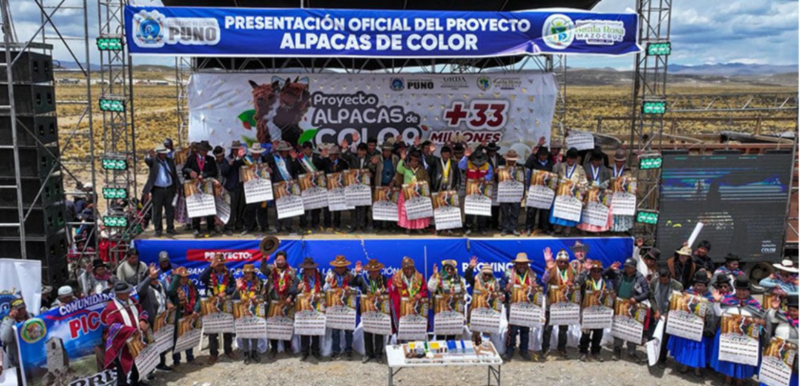 WEB Puno: inician ejecución del proyecto Alpacas de Color con más de S/33 millones