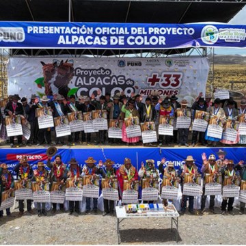 Puno: inician ejecución del proyecto Alpacas de Color con más de S/33 millones