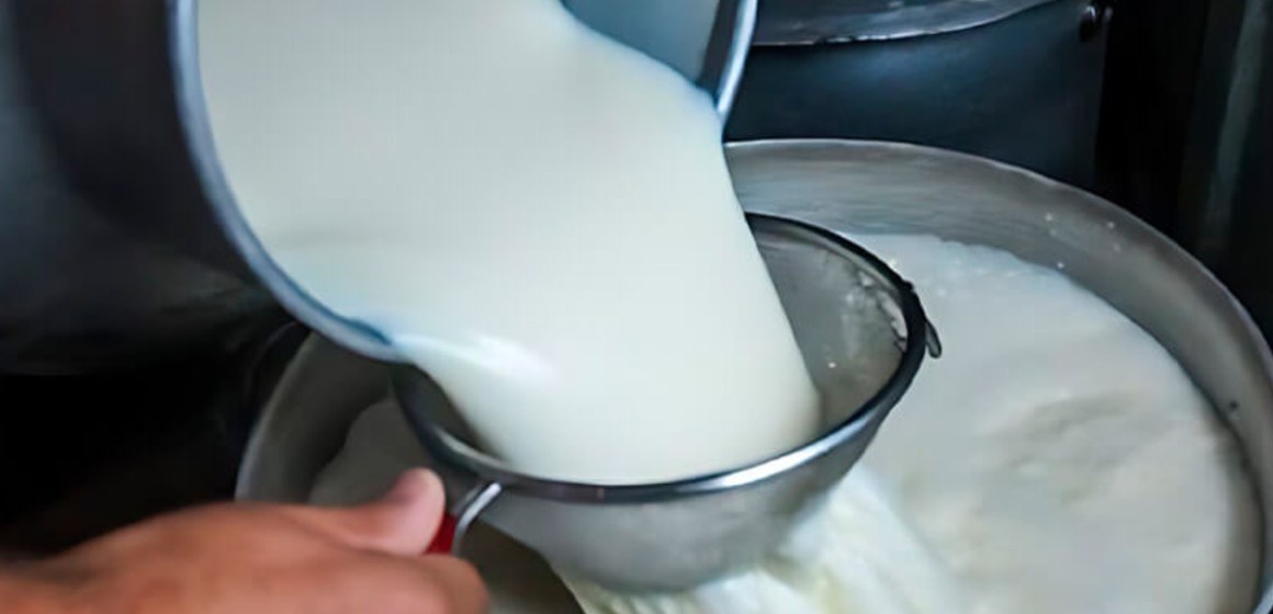 Leche premium desde los Andes: el modelo regenerativo de Mayaccta