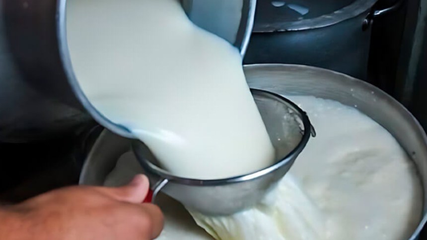 Leche premium desde los Andes: el modelo regenerativo de Mayaccta