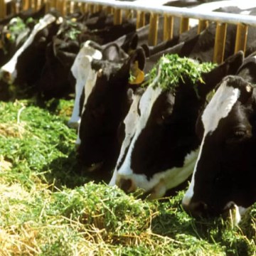 Huella hídrica de la producción lechera en el Perú