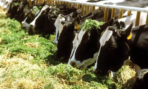 Huella hídrica de la producción lechera en el Perú