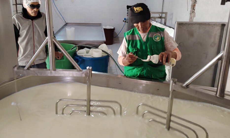 WEB Arequipa: Modernización de plantas queseras en Caylloma impulsa la producción láctea