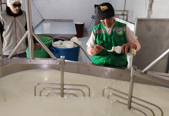 Arequipa: Modernización de plantas queseras en Caylloma impulsa la producción láctea