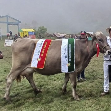 Agrovet Market impulsa el fortalecimiento ganadero en la XXXVI Feria Nueva Libertad de Punto 2026