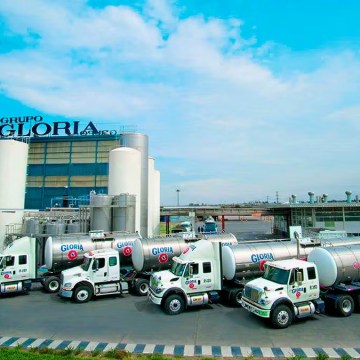 Gloria acuerda compra del 80% de gigante lácteo Saputo Argentina