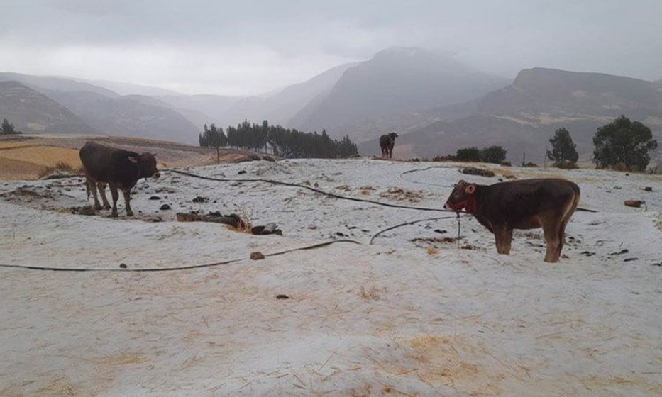 SENAMHI alerta lluvias, nevadas y granizadas en la sierra hasta el 18 de febrero