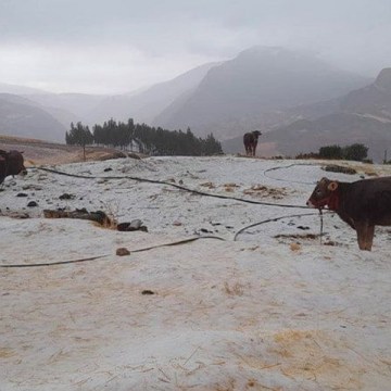 WEB SENAMHI alerta lluvias, nevadas y granizadas en la sierra hasta el 18 de febrero