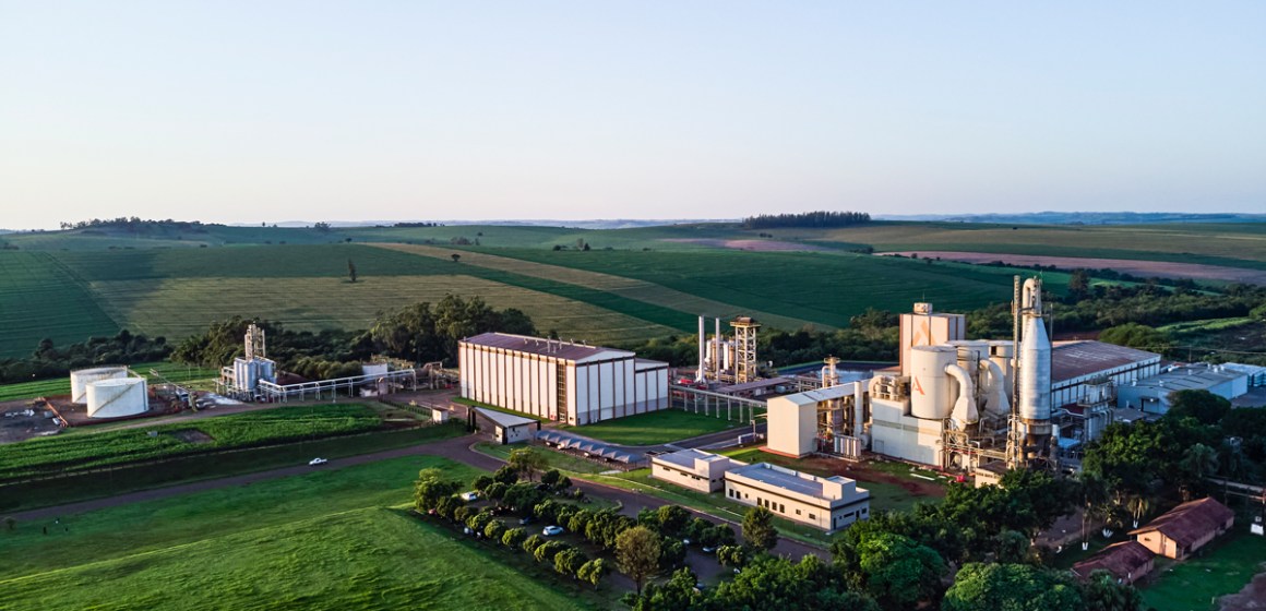 Alltech Brasil recibe la Medalla de Oro de EcoVadis