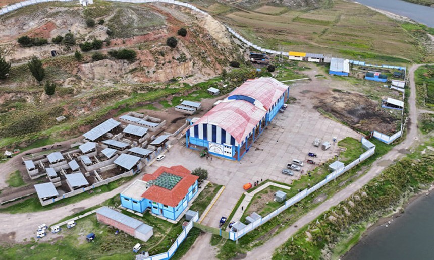 WEB Puno fortalece su cadena ganadera con modernización del Camal Municipal de Ilave