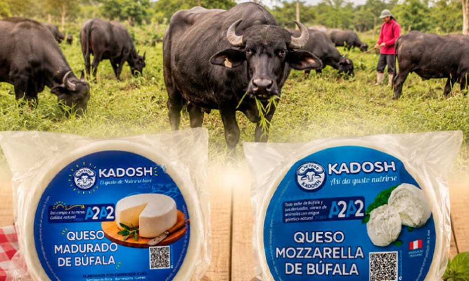 Quesos de búfala y oveja llegarán por primera vez al Salón del Queso Peruano 2026