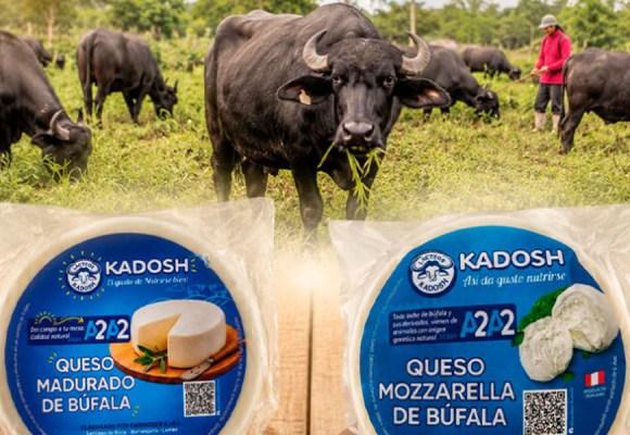Quesos de búfala y oveja llegarán por primera vez al Salón del Queso Peruano 2026