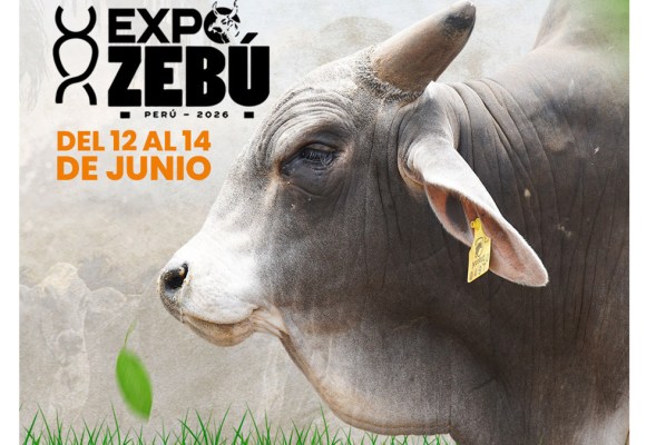 Laboratorios Drogavet participará en la EXPO ZEBÚ 2026 en Tarapoto