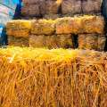 Arequipa: Entregan heno de avena para garantizar alimento del ganado en Achoma