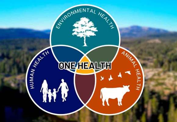 FAO, PNUMA, OMS y OMSA extenderán Plan de Acción Una Sola Salud hasta 2029