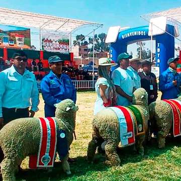 Agrovet Market participó en la Feria FIYA Yauris 2026 y destacó el desarrollo de la producción ovina