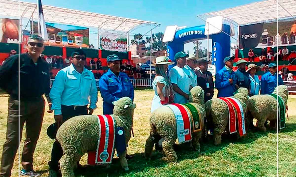 Agrovet Market participó en la Feria FIYA Yauris 2026 y destacó el desarrollo de la producción ovina